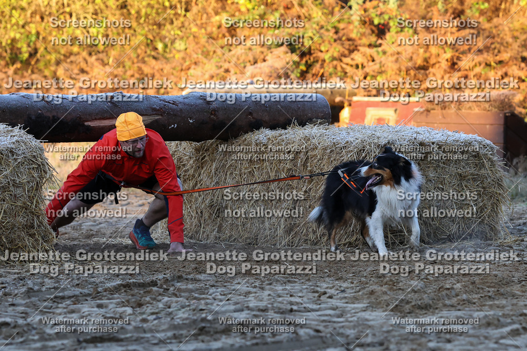 Dog Paparazzi - Strongdog 10-25-431 | Dog Paparazzi Jeanette Grottendiek Fotografie & Videografie - Realisiert mit Pictrs.com