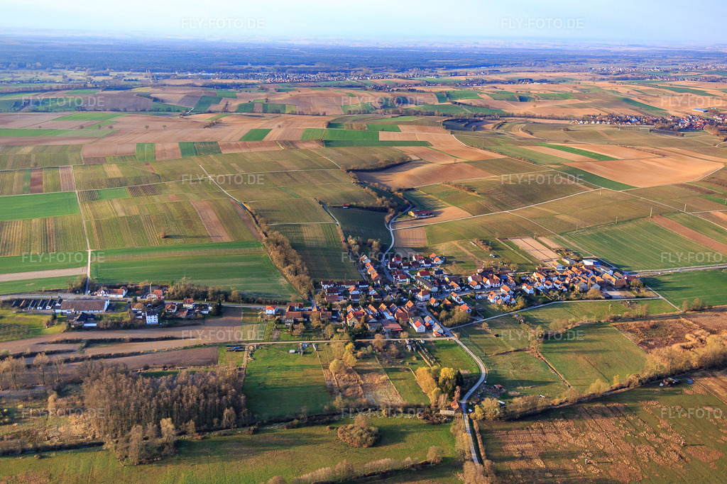 Luftbild: Dorfübersicht im Winter aus Norden in Hergersweiler im Bundesland Rheinland-Pfalz in Deutschland. Foto: IMG_076770.jpg vom 28.03.2015 durch Werner Riehm/FLY-FOTO.de