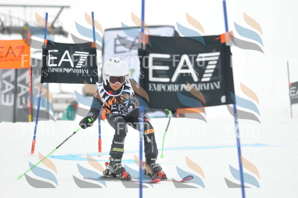 DSC_7697 | holidayphoto