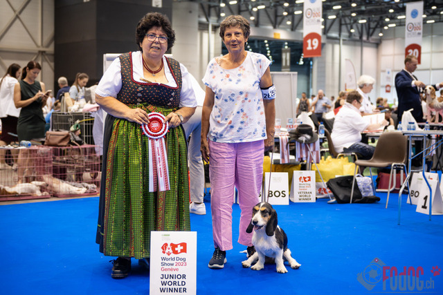 World Dog Show Donnerstag | World Dog Show 2023 Donnerstag im Palexpo in Genf 24.08.2023 Foto: Leo Wyden