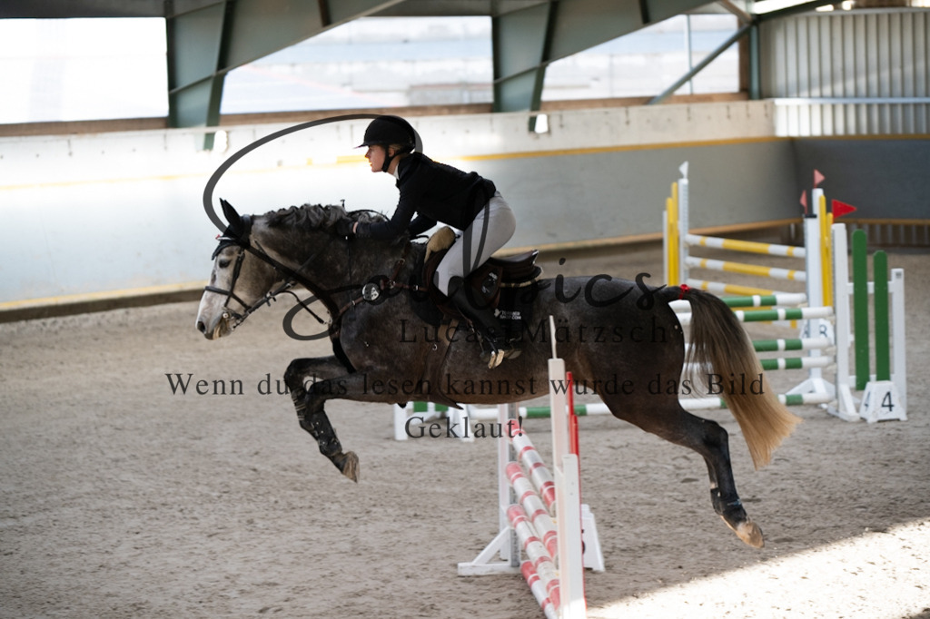 A7V02335 | Pferdefotograf