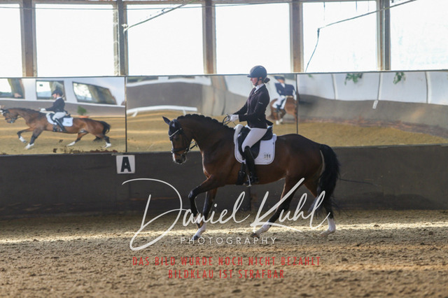 IMG_2150 | Turniersportfotografie; Pferdefotografie; Dressurfotografie