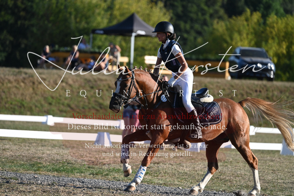 DSC_9078 | Pferde- und Turnierfotografie in Westsachsen. Pferdeportraits, Auftragszeichnungen und intuitive Kunst.