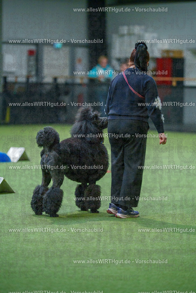 7R503437 | Professionelle Tierfotografie in Mönchengladbach von Daniel Wirth (allesWIRTHgut). Liebevolle & natürliche Bilder von Hunden & Katzen für unvergessliche Erinnerungen.