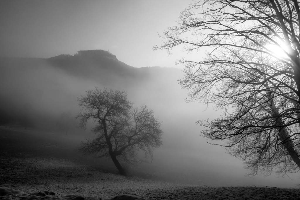 Winter bei der Ruine Dorneck | Schöne Fotografien aus der Stadt und der Natur zum bestellen oder selber hochladen. Druck auf Foto, Postkarte, Kalender, FineArt Hahnemühle, Alu-Dibond , Akustikbilder zur Absorption von Schall und Lärm etc. - Realisiert mit Pictrs.com