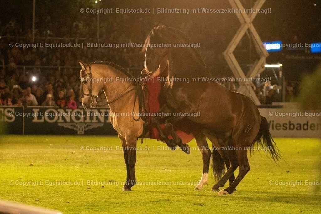 20230526_Pferdenacht_1447 | equistock