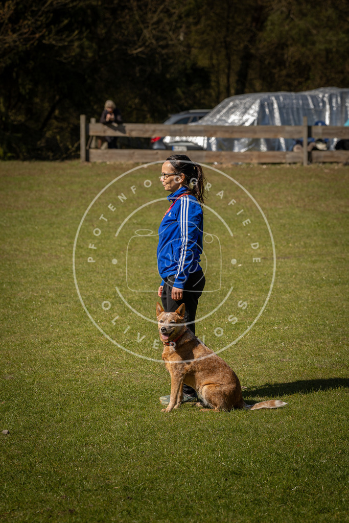 Pfotenfotografie_DV3A0846 | Hundefotografie, Tierfotograf, Pfotenfotografie, Fotoshooting Hund, Hunde Portrait, Hundesport, Hundeportraits, Heideshooting, Hunde, Sportfotograf, Hundefotograf, Turnierhundsport, THS,  - Realisiert mit Pictrs.com