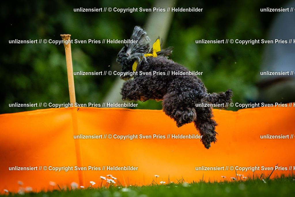 Sven Pries | 2025-05-29 - Pudelrennen KA-Durlach - Realisiert mit Pictrs.com