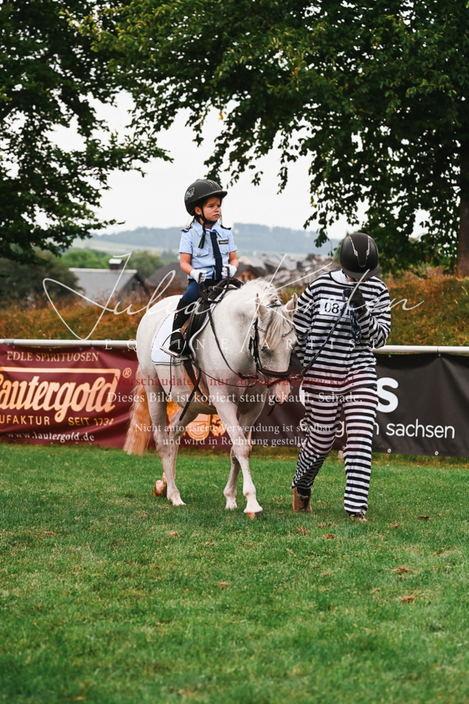 DSC_7575 | Pferde- und Turnierfotografie in Westsachsen. Pferdeportraits, Auftragszeichnungen und intuitive Kunst.