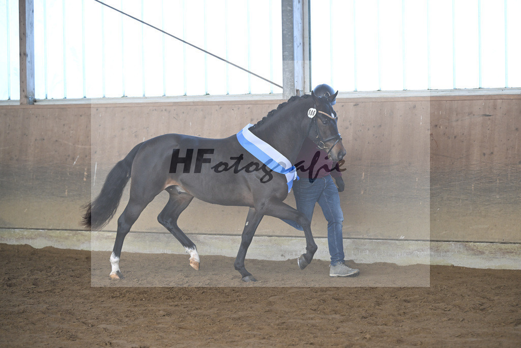 Kat-Nr. 6 Junkbrunnens Nomen est Omen v. Neverland WE_Thomas_49250280 | hf-fotografie - Realisiert mit Pictrs.com