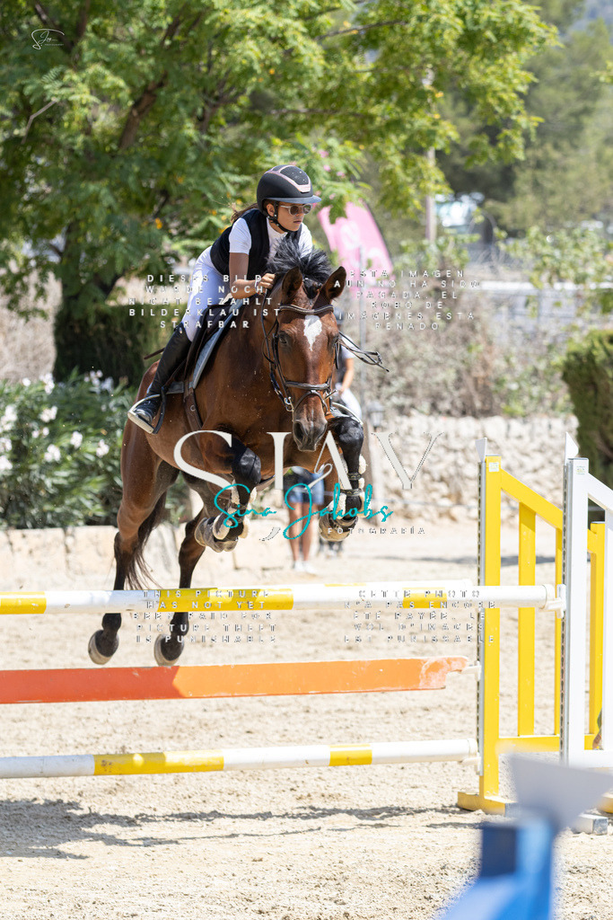 IMG_8063 | s-jay-photography - Realisiert mit Pictrs.com