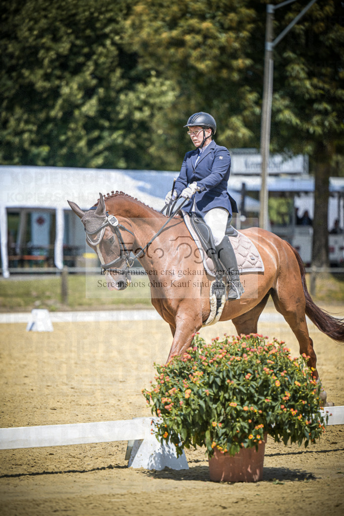 DOS_4998 | Entdecke hochwertige Reitturnierfotos von Foto Oger. Professionell, emotional und authentisch – jetzt Lieblingsmomente im Shop bestellen.Deutschlandweite Turnierfotografie. - Realisiert mit Pictrs.com