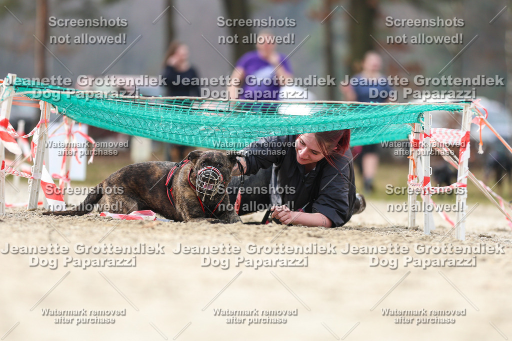 Dog Paparazzi - Strongdog North Mrz26-5322 | Dog Paparazzi Jeanette Grottendiek Fotografie & Videografie - Realisiert mit Pictrs.com