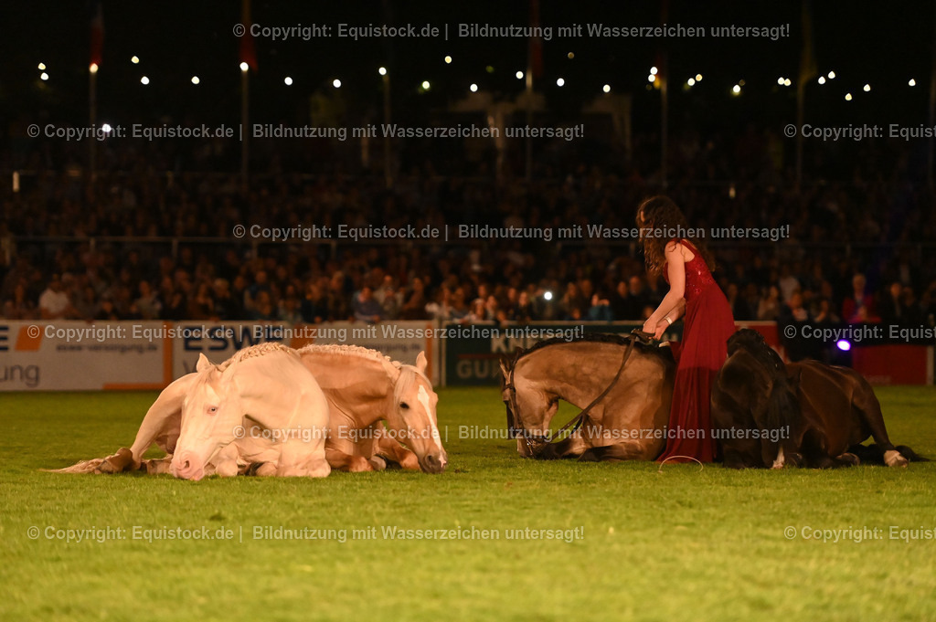20230526_Pferdenacht_1546 | equistock