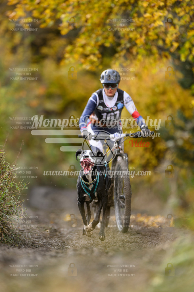 MompixPhotography_ICF_WC_2024_SA_Bike_-226 | PayLife