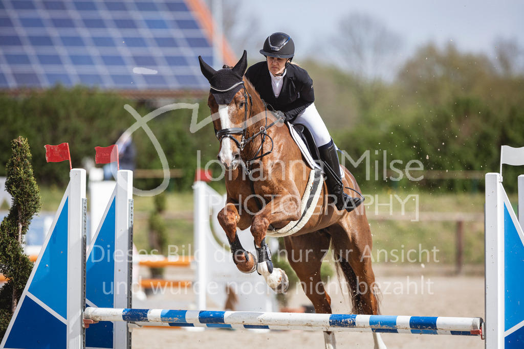 250419_Frühlingsfest_A-Stil1-472 | Deine schönsten Turniermomente als professionelle Fotos! Entdecke hochwertige Pferdesport-Fotografie im Online-Shop. Jetzt Fotos finden & bestellen!