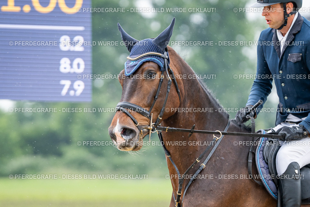 DSC00769 | Pferdegrafie