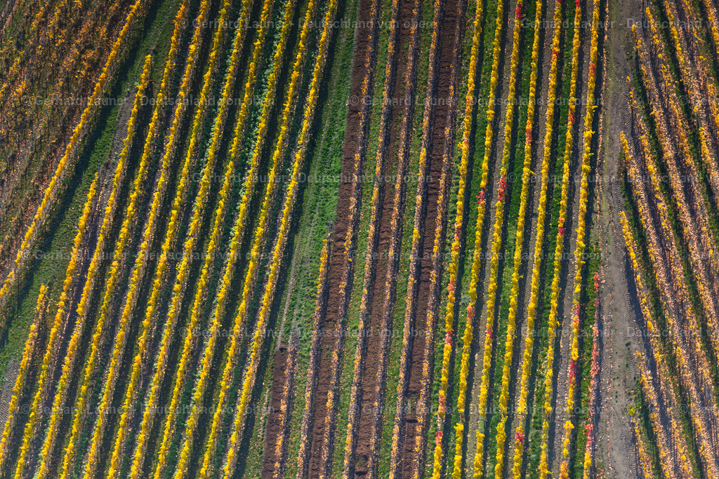 4042773 | Weinberge bei Falkenstein, Weinlage Falkenberg