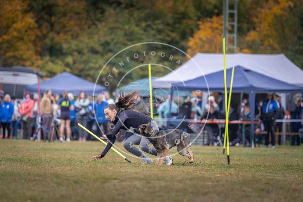Pfotenfotografie_DV3A0963 | Hundefotografie, Tierfotograf, Pfotenfotografie, Fotoshooting Hund, Hunde Portrait, Hundesport, Hundeportraits, Heideshooting, Hunde, Sportfotograf, Hundefotograf, Turnierhundsport, THS,  - Realisiert mit Pictrs.com