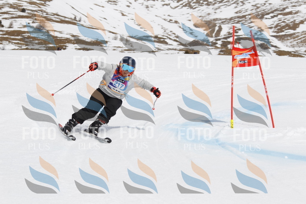 _U3G2321 | holidayphoto