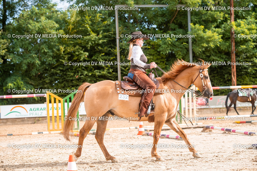 ZS3_9172 | dv-media-shop - Realisiert mit Pictrs.com