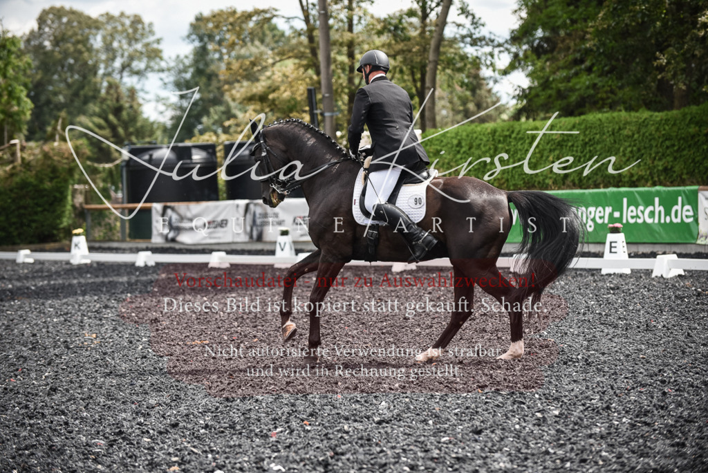 DSC_4957 | Pferde- und Turnierfotografie in Westsachsen. Pferdeportraits, Auftragszeichnungen und intuitive Kunst.