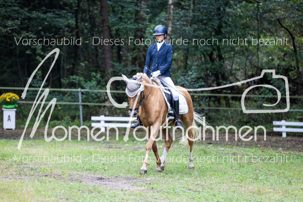 HB-A-Dressur-012 | MomenTaufnahmen Pferdesportfotos