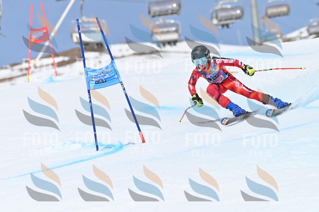 BGV_2051 | holidayphoto