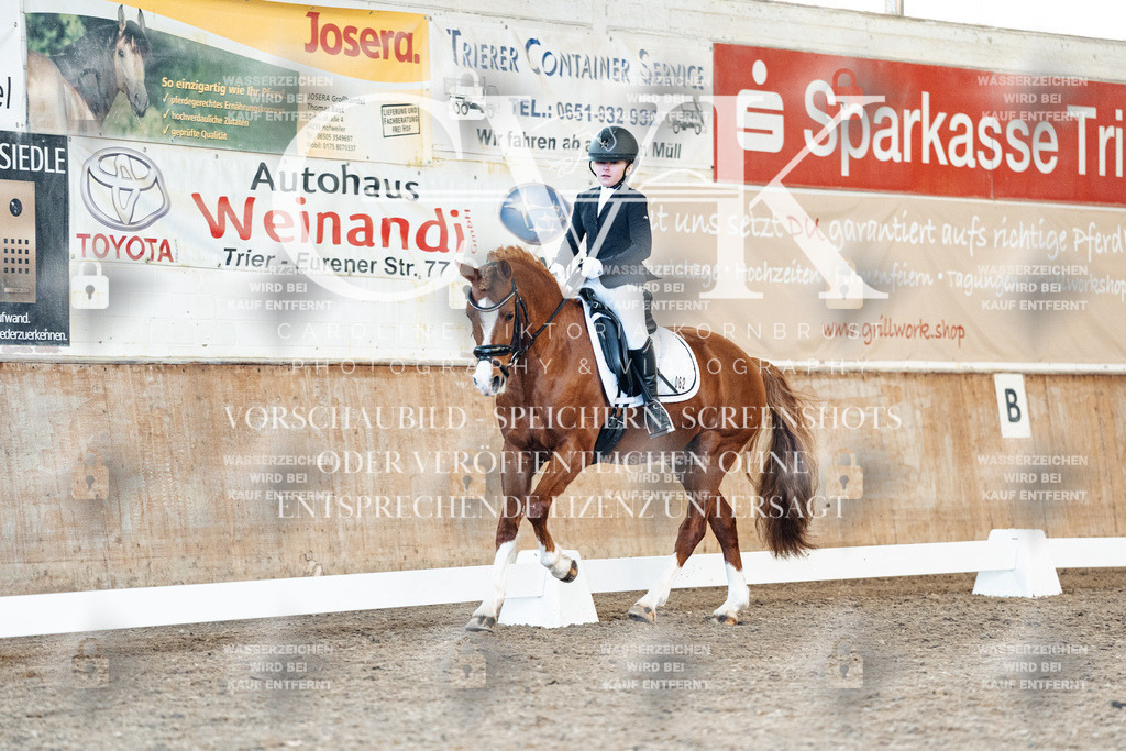 CK908238 | Turnierfotografie Pferdefotografie Trier Rheinland-Pfalz Pferdesport Reitsport Tierfotografie Sportfotografie Pferdevideo Pferdevideografie Equestrianvideography equestrianphotography  - Realisiert mit Pictrs.com