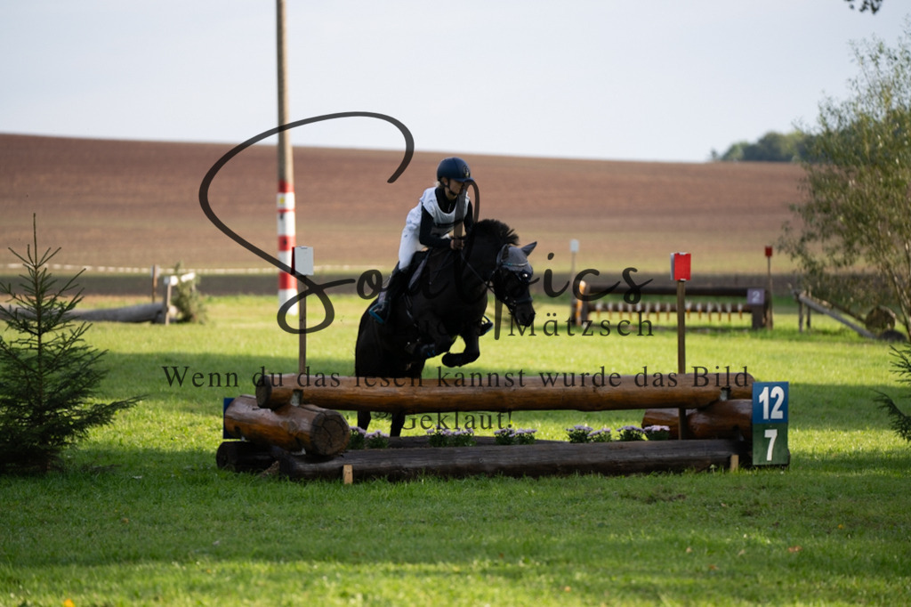 A7V03089 | Turnier/Reitfotograf