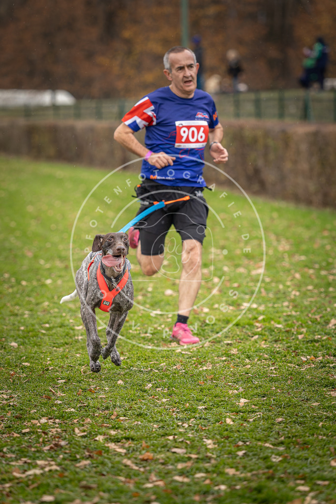 CaniXpix_DV3A7012 | Hundefotografie, Tierfotograf, Pfotenfotografie, Fotoshooting Hund, Hunde Portrait, Hundesport, Hundeportraits, Heideshooting, Hunde, Sportfotograf, Hundefotograf, Turnierhundsport, THS,  - Realisiert mit Pictrs.com