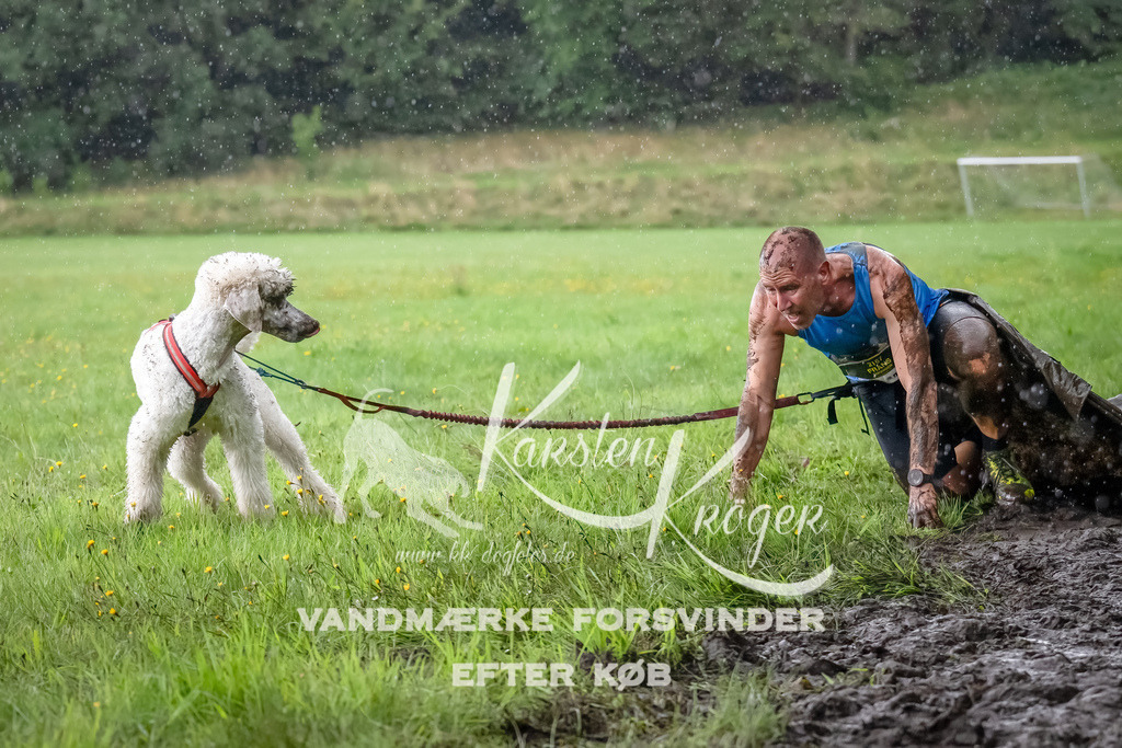 0926_ZZ90993-Bearbeitet | kk-dogfotos