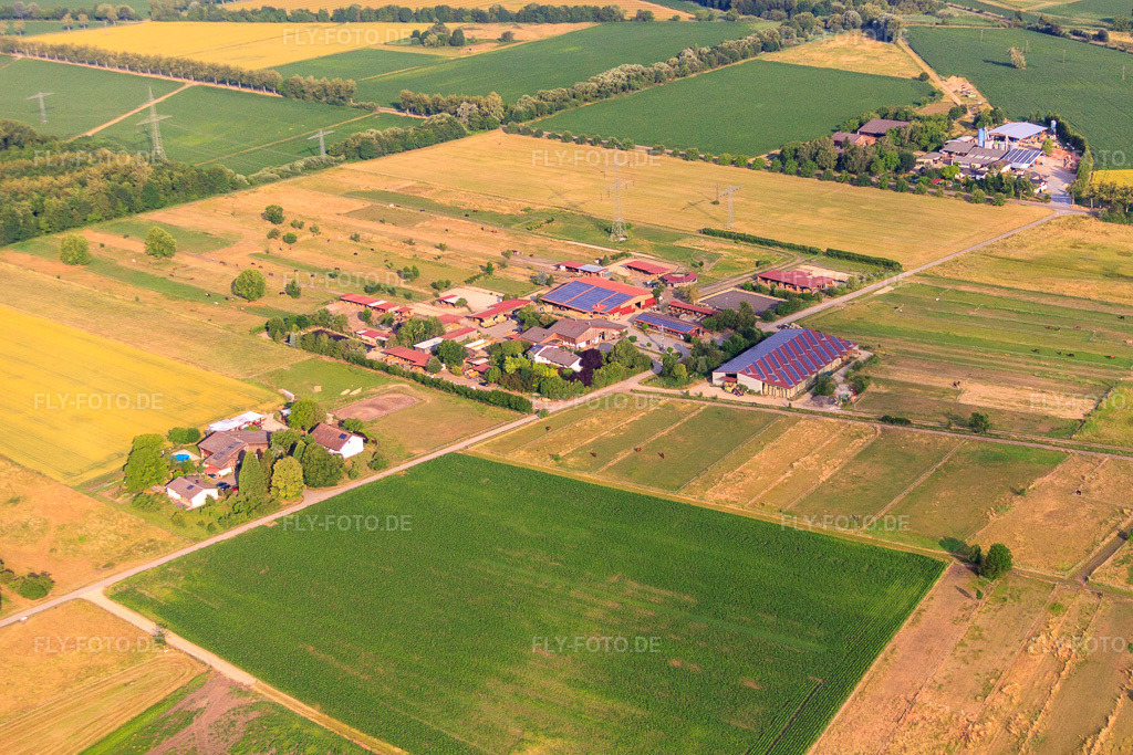 Luftbild: Pferdepension Keller in Gottenheim im Bundesland Baden-Württemberg in Deutschland. Foto: IMG_68202.jpg vom 19.06.2014 durch Werner Riehm/FLY-FOTO.deWilfried Keller GbR | 79288 Gottenheim bei Freiburg