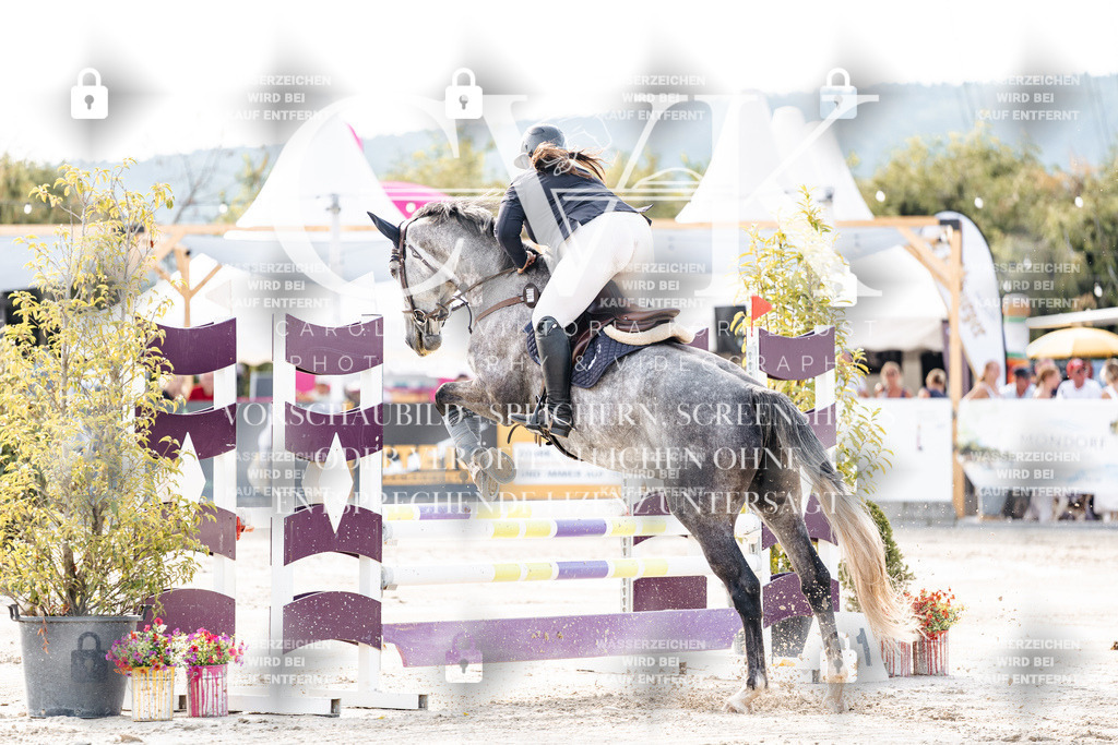 CK906218 | Turnierfotografie Pferdefotografie Trier Rheinland-Pfalz Pferdesport Reitsport Tierfotografie Sportfotografie Pferdevideo Pferdevideografie Equestrianvideography equestrianphotography  - Realisiert mit Pictrs.com