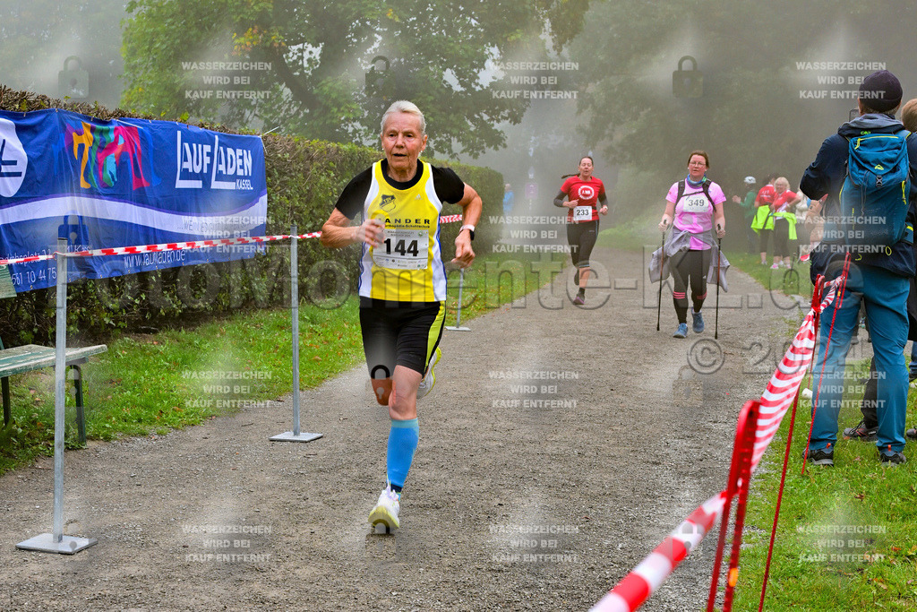 Z8N_2219 | la-psv - Realisiert mit Pictrs.com