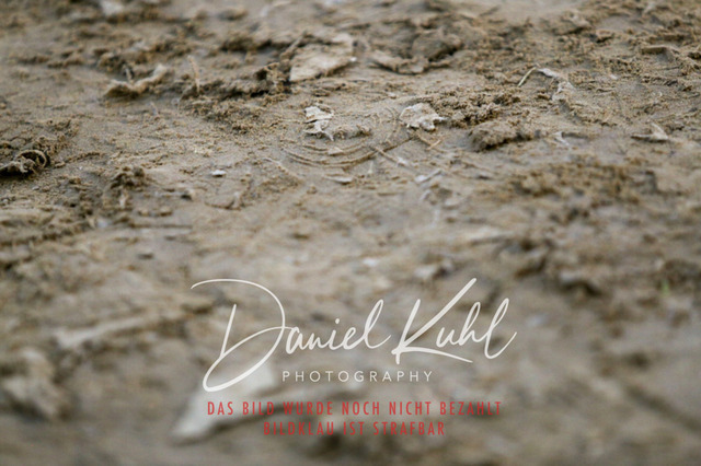 IMG_3323 | Turniersportfotografie; Pferdefotografie; Dressurfotografie