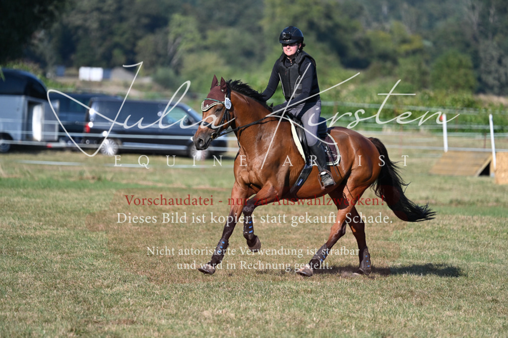 DSC_8985 | Pferde- und Turnierfotografie in Westsachsen. Pferdeportraits, Auftragszeichnungen und intuitive Kunst.