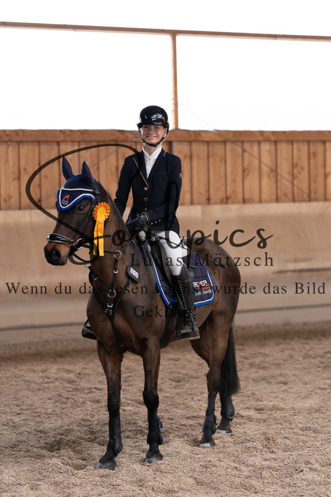 A7507895 | Pferdefotograf