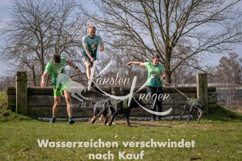 _ZZ90062 | kk-dogfotos