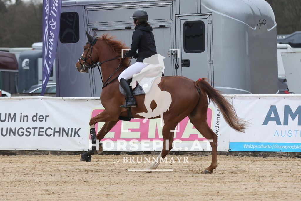 0P6A6649 | Willkommen bei Brunnmayr - Design & Fotografie – Ihrem Spezialisten für Reitturniere und Pferdeveranstaltungen in Oberösterreich, Salzburg und Bayern! Seit über 17 Jahren sind wir leidenschaftlich dabei.