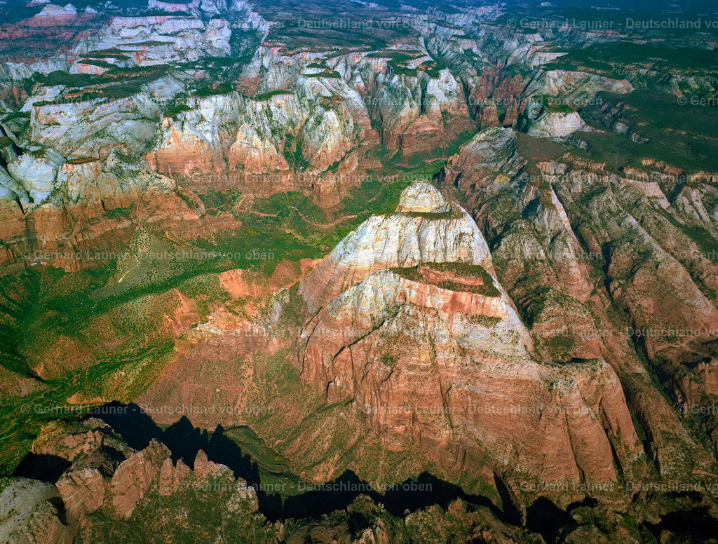 9102505 | Zion National Park, Utah, USA