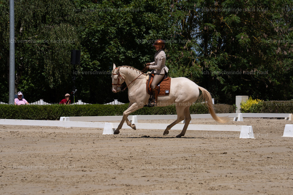 WS_DR_69_sinafilmart_IN02564 | working equitationturnier fotograf videograf stoibphotography marixx film working equitation deutschland reitsport turnierfotografie eventfotografie equestrian events
