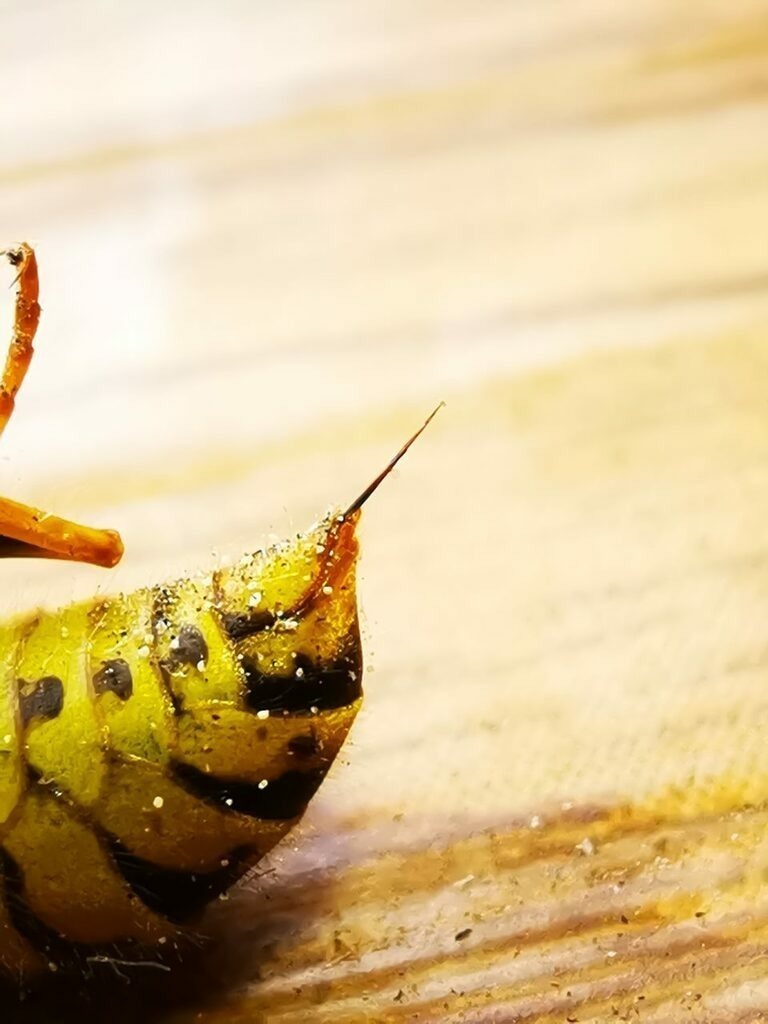 PSX_20220906_225926 | mtkfoto_ - Realisiert mit Pictrs.com