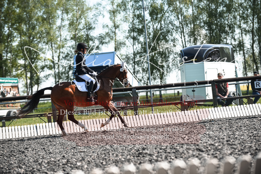 DSC_8722 | Pferde- und Turnierfotografie in Westsachsen. Pferdeportraits, Auftragszeichnungen und intuitive Kunst.