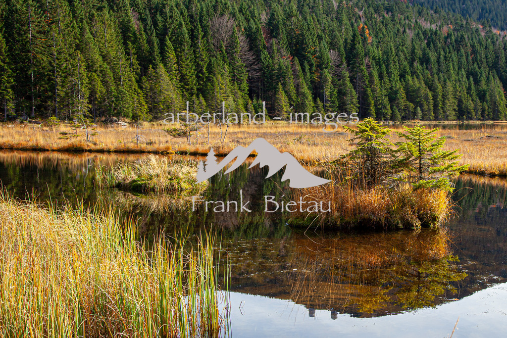 _MG_0098 | Medien- Sport- Entertainmentfotos