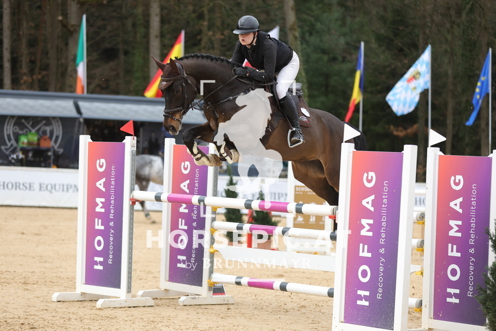 0P6A1597 | Willkommen bei Brunnmayr - Design & Fotografie – Ihrem Spezialisten für Reitturniere und Pferdeveranstaltungen in Oberösterreich, Salzburg und Bayern! Seit über 17 Jahren sind wir leidenschaftlich dabei.