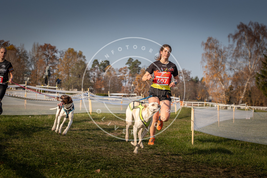 CaniXpix_0L8A0112 | Hundefotografie, Tierfotograf, Pfotenfotografie, Fotoshooting Hund, Hunde Portrait, Hundesport, Hundeportraits, Heideshooting, Hunde, Sportfotograf, Hundefotograf, Turnierhundsport, THS,  - Realisiert mit Pictrs.com