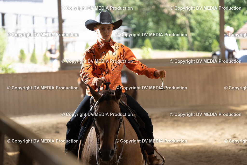 DSC00097 | dv-media-shop - Realisiert mit Pictrs.com