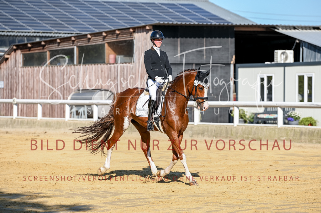 Schugtsche-Aluta25-51.Dressurpferdeprf.M-52 | Schugtsche Fotografie - Realisiert mit Pictrs.com