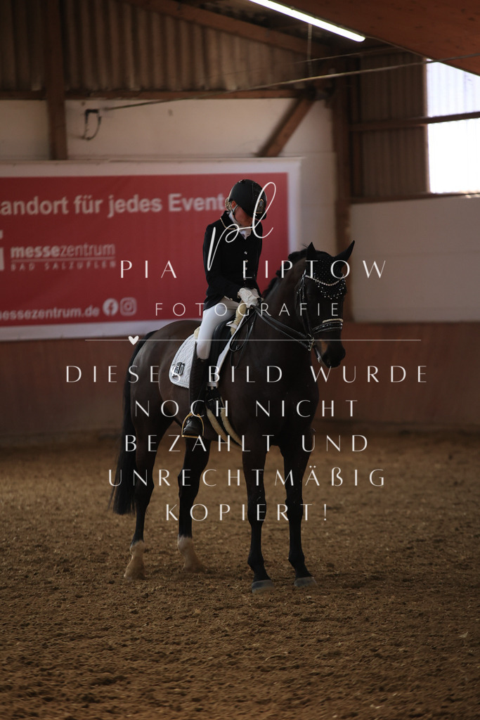 IMGT3924 | pl-fotografie